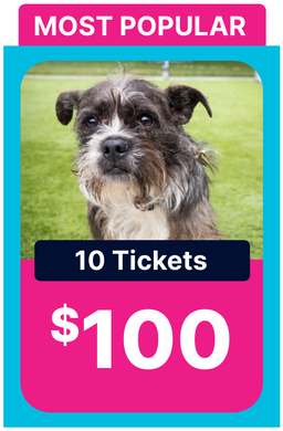 10 for $100